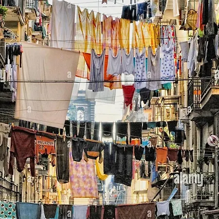 Marvit Luxury Naples