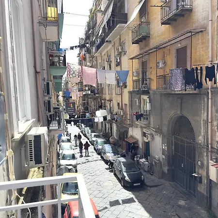 Marvit Luxury בית הארחה 4*